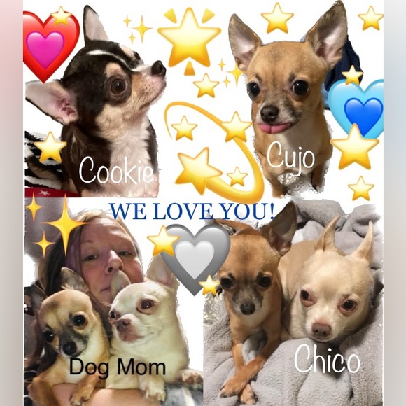 👋🏼👩🏼Welcome Posher's!!👩🏼‍💻🤳 - Picture 10 of 16